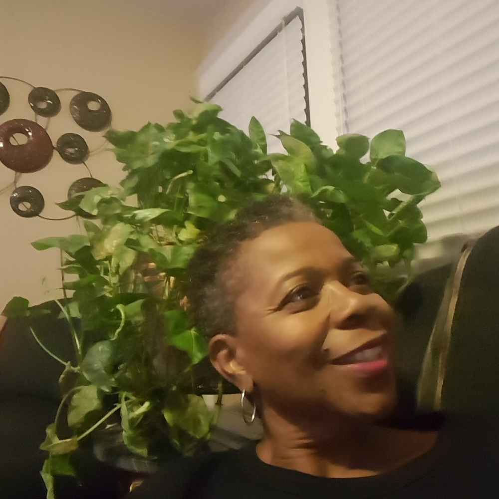 Meet your Posher, Clarissa